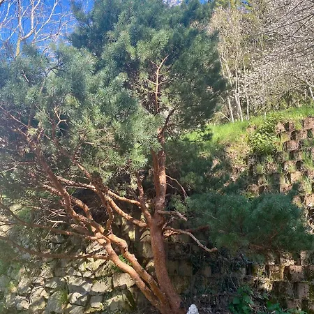 D'ame Nature *